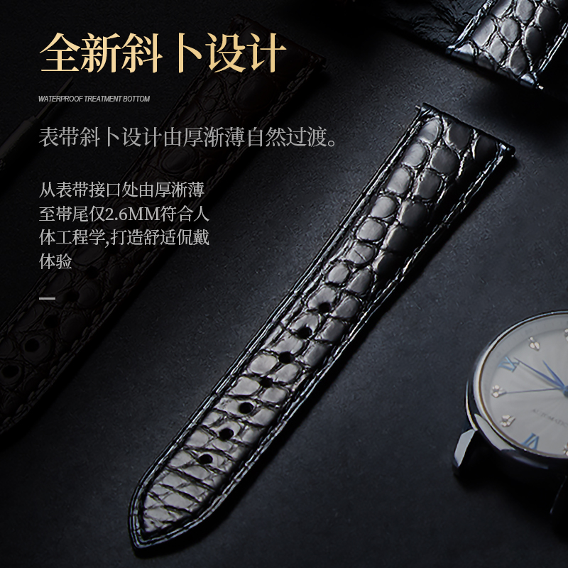 롱진 마스터 티안 왕 미도 티토니 오메가 드 빌레용 악 - Luxury Watch Longines 리뷰 및 가격
